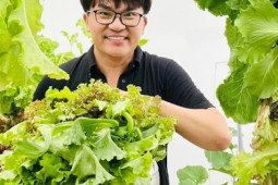 Kinh doanh - Ngỡ ngàng vườn rau sạch đủ các loại bên trong biệt thự triệu đô của MC Đại Nghĩa