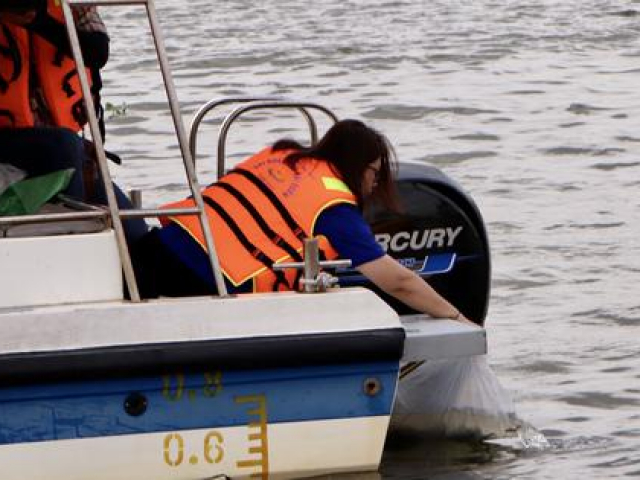 Tin tức trong ngày - Cận cảnh thả 44.000 con cá lăng và 330.000 thuỷ sản nước ngọt xuống sông Sài Gòn