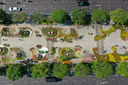 Tin tức trong ngày - Cây xanh phố đi bộ Nguyễn Huệ thay đổi thế nào sau 8 năm được trồng?