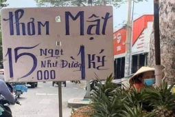 Thị trường - Tiêu dùng - Thấy biển bán dứa thơm siêu rẻ trên vỉa hè, lại gần mới "ngã ngửa" với chiêu lừa khó tin