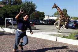 Tranh vui - Bao người cười sặc khi bắt gặp những khoảnh khắc kỳ quặc như thế này