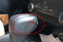 Pháp luật - Xe của giám đốc sát hại nữ kế toán bỏ trong rừng cao su có gì?