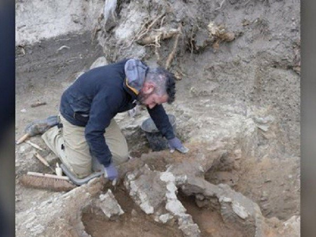 Kinh doanh - Đào bãi rác, choáng vì tìm thấy "kho báu" 1.800 tuổi