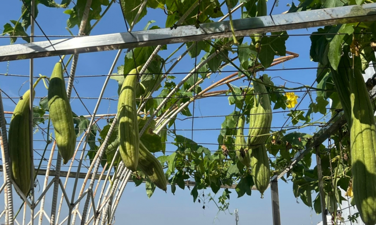 Căn phòng đặc biệt trong biệt thự đi mỏi chân không hết của Hoa hậu Giáng My - 5