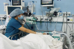 Tin tức trong ngày - Vụ cây xanh bật gốc trước Trường Trần Văn Ơn: Thai phụ đã qua cơn nguy kịch