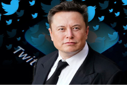 ”Sốc” trước mức định giá của Twitter sau khi Elon Musk tiếp quản