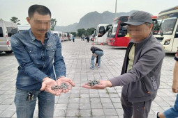 Xôn xao hình ảnh đinh vít vứt ở bãi đỗ xe chùa Tam Chúc, công an xác định nguyên nhân