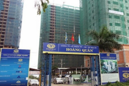 Kinh doanh - Một cổ phiếu thanh khoản đột biến sau khi gói 120.000 tỷ cho nhà ở xã hội được thông qua