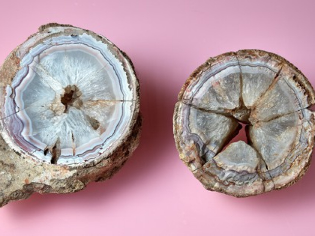 Du lịch - Cất giữ đá quý lạ 140 năm mới biết nó là "quái thú"