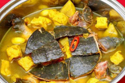 Thị trường - Tiêu dùng - Loài vật giống hệt ba ba, là đặc sản dân nhậu "săn lùng" giá 900.000/kg