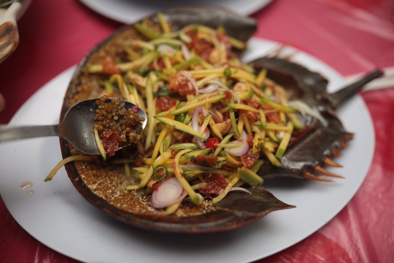 Loài vật có máu quý hơn vàng, bị săn lùng tới mức sắp tuyệt chủng - 6