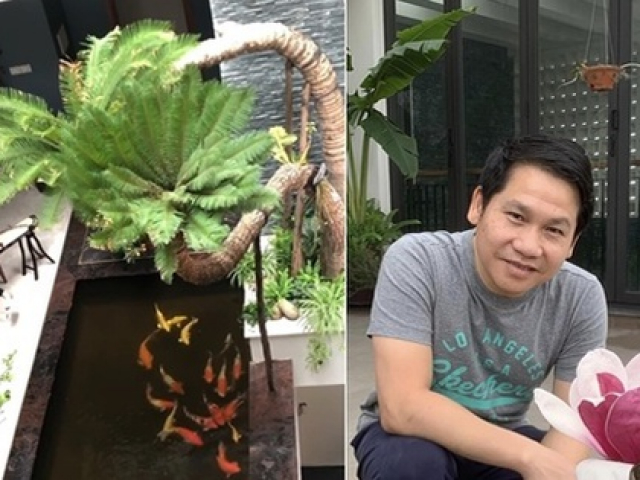 Đời sống Showbiz - Đăng clip con gái đánh đàn bên hồ cá Koi, Trọng Tấn để lộ không gian bao người mơ ước