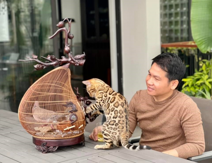 Đăng clip con gái đánh đàn bên hồ cá Koi, Trọng Tấn để lộ không gian bao người mơ ước - 5