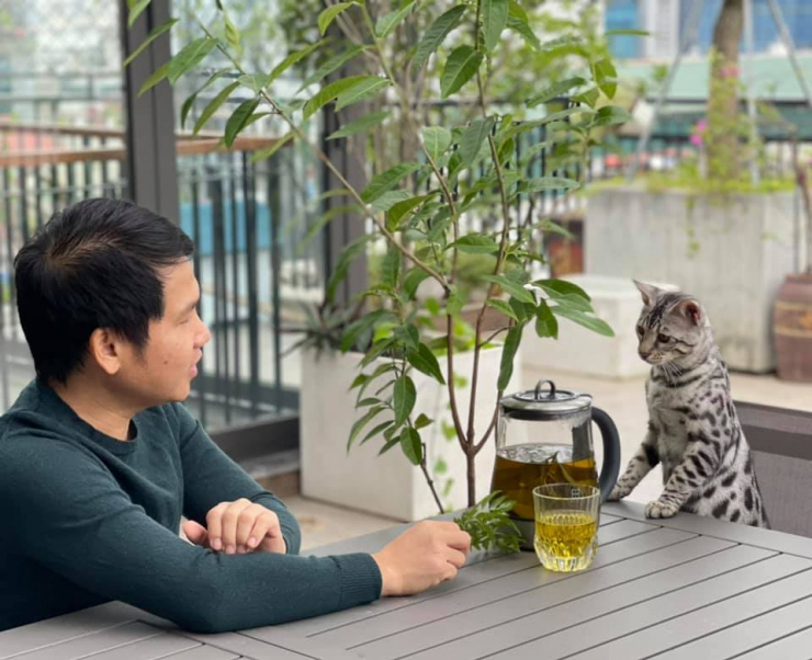 Đăng clip con gái đánh đàn bên hồ cá Koi, Trọng Tấn để lộ không gian bao người mơ ước - 8