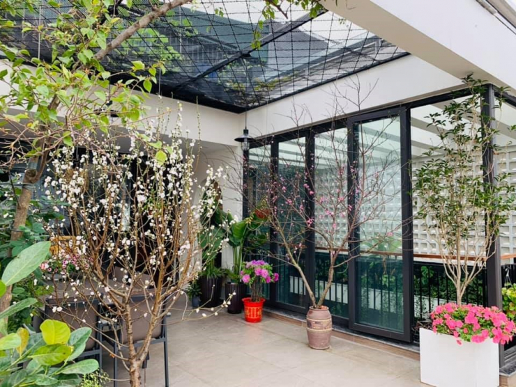 Đăng clip con gái đánh đàn bên hồ cá Koi, Trọng Tấn để lộ không gian bao người mơ ước - 18