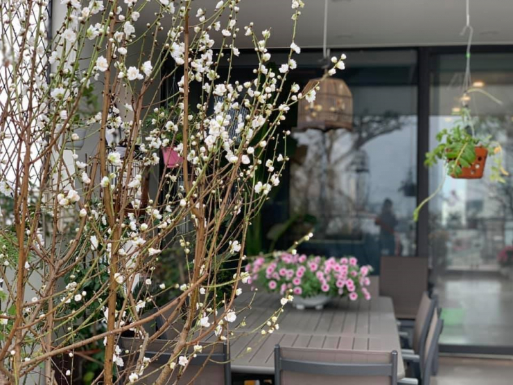 Đăng clip con gái đánh đàn bên hồ cá Koi, Trọng Tấn để lộ không gian bao người mơ ước - 17