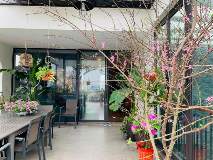 Đăng clip con gái đánh đàn bên hồ cá Koi, Trọng Tấn để lộ không gian bao người mơ ước - 19