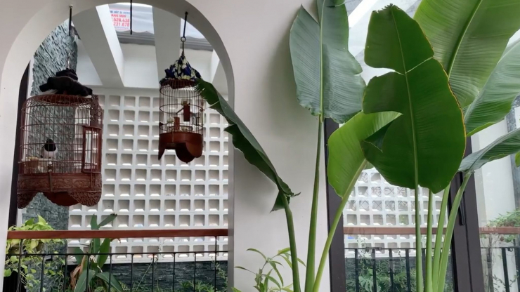 Đăng clip con gái đánh đàn bên hồ cá Koi, Trọng Tấn để lộ không gian bao người mơ ước - 6