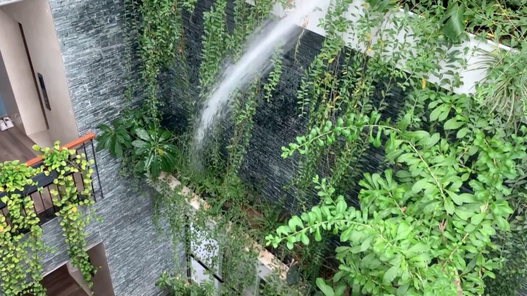 Đăng clip con gái đánh đàn bên hồ cá Koi, Trọng Tấn để lộ không gian bao người mơ ước - 5