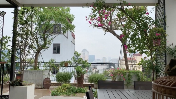 Đăng clip con gái đánh đàn bên hồ cá Koi, Trọng Tấn để lộ không gian bao người mơ ước - 9