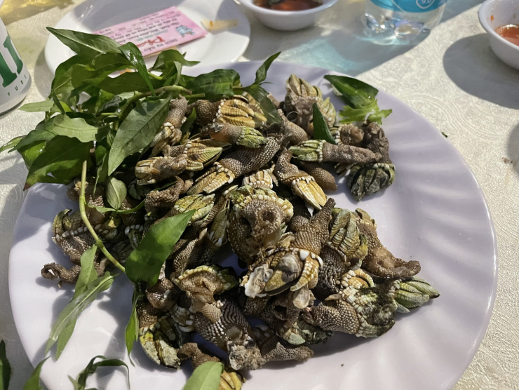 Độc đáo ốc móng rồng, nhiều người lùng ăn ở Khánh Hòa - 1