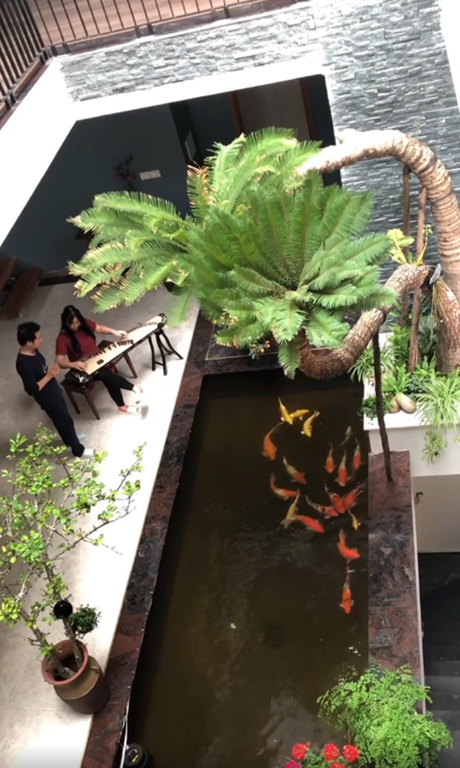 Đăng clip con gái đánh đàn bên hồ cá Koi, Trọng Tấn để lộ không gian bao người mơ ước - 3