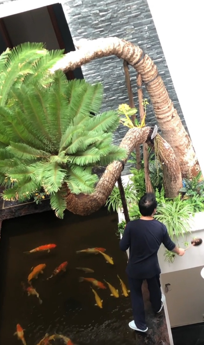 Đăng clip con gái đánh đàn bên hồ cá Koi, Trọng Tấn để lộ không gian bao người mơ ước - 2