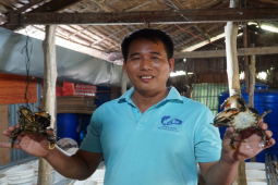 Kinh doanh - Thầy giáo kiếm được tiền tỷ mỗi năm nhờ bí quyết “soi” cua độc đáo