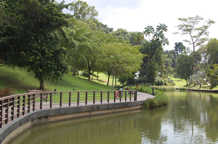Khách du lịch tiết kiệm sẽ không thể bỏ qua&nbsp;vườn bách thảo Singapore vì hầu hết các khu vườn đều miễn phí, chỉ có một khoản phí cho vườn Lan Quốc gia. Khu vườn có hơn 60.000 loài thực vật và động vật, và là nơi có khu vườn dành cho trẻ em đầu tiên trên thế giới.

