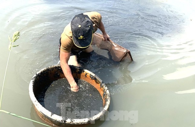 “Bất kể sáng hay chiều, mỗi khi nước xuống, tôi lại ra rạch săn trùn. Vất vả chút nhưng ham lắm vì khách hỏi mua liên tục, hàng không đủ để cung cấp”, anh Dương nói.