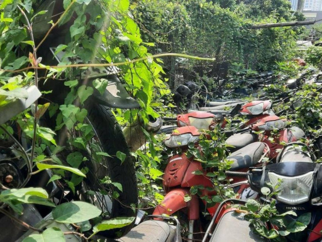 Hà Nội: Cận cảnh bãi giữ xe vi phạm giao thông quá tải, cỏ dại mọc đầy