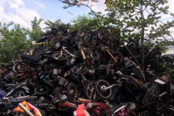 Tin tức trong ngày - TPHCM thanh lý xe máy vi phạm với giá hơn 1,2 triệu đồng/chiếc