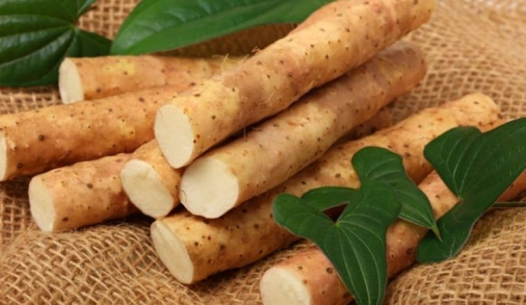  Theo các nhà nghiên cứu, củ mài giàu allantoin - chất có khả năng hỗ trợ rút ngắn thời gian lành vết thương và thúc đẩy sự phát triển của các mô khỏe mạnh. 