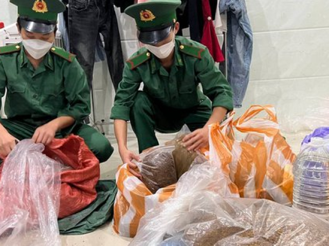Triệt xóa “tổng kho” thảo mộc tẩm ma túy mới nổi tại Đà Nẵng