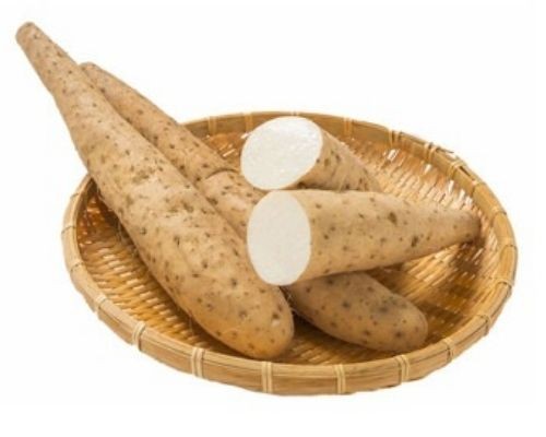  Trong khi đó, giá củ mài ở Trung Quốc đắt gấp khoảng 2 lần so với Việt Nam, khoảng 340.000 đồng/kg.