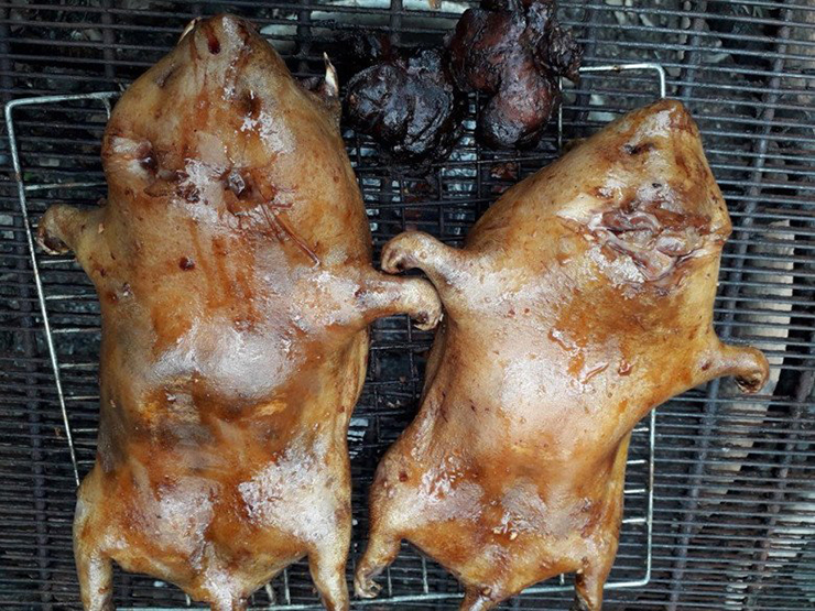 Thịt dúi được xếp vào thực phẩm có giá trị vì thơm ngon và giàu chất đạm. Nếu như trước đây ít người biết tới thịt dúi, thì giờ đây nó đã thành món ăn xuất hiện trong nhà hàng, quán ăn
