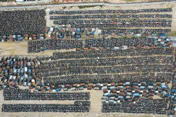 Tin tức trong ngày - Choáng với "núi" xe vi phạm hóa sắt vụn, bị cỏ dại phủ kín trong các kho bãi ở TP.HCM