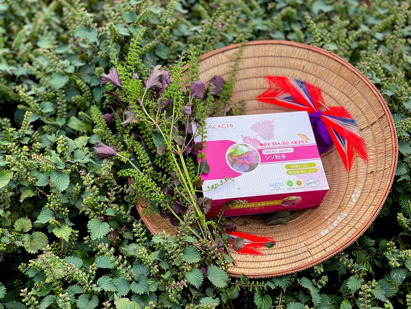 Bột tía tô Akina sản xuất theo công thức Nhật Bản (Ảnh: Takachi).