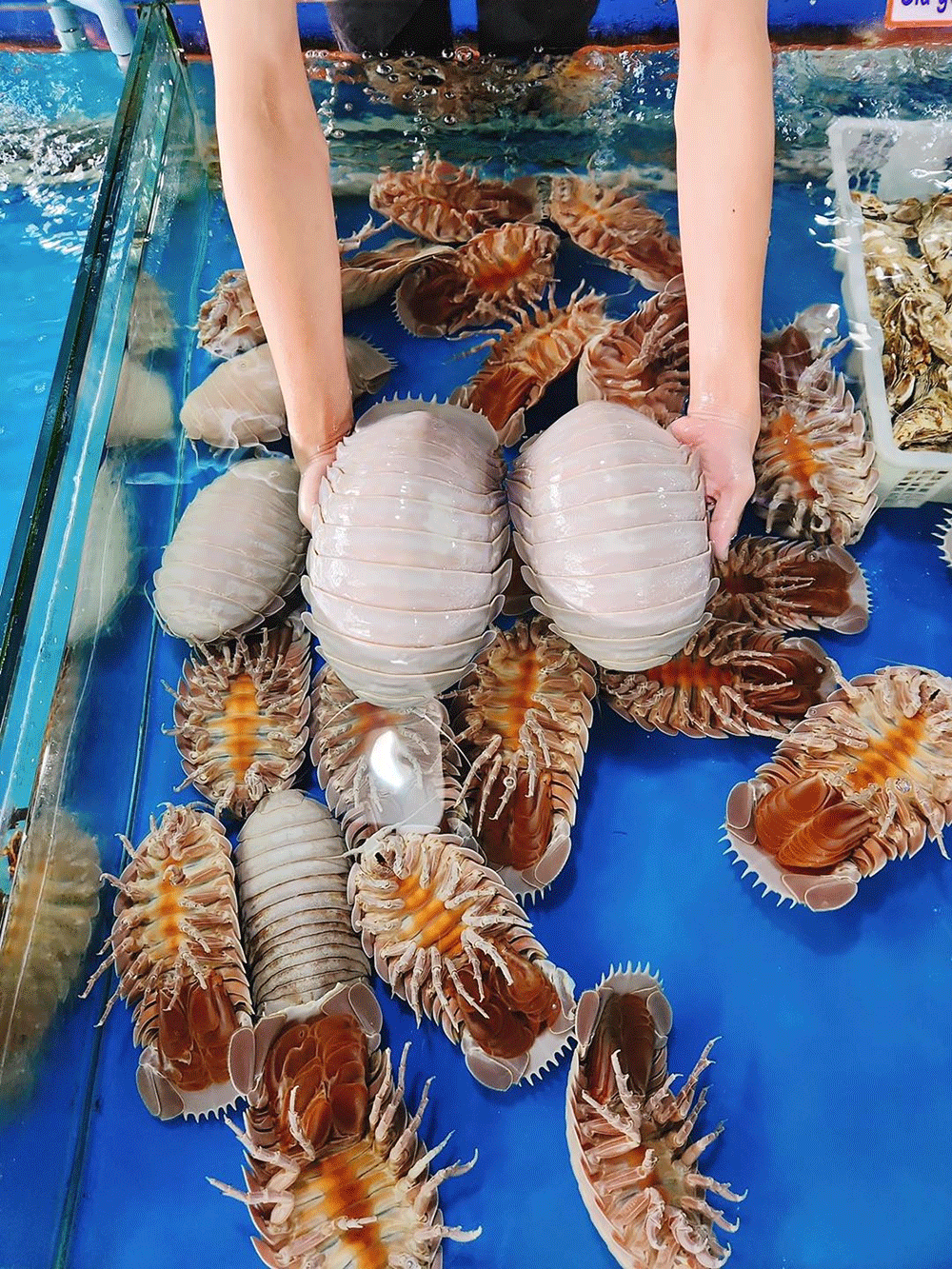 Từ con số không đến "bà trùm" hải sản Ốc Quyên - 4