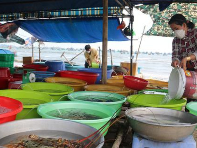 ”Cân điêu” hải sản ở Mũi Né, địa phương đề nghị tháo dỡ lều quán
