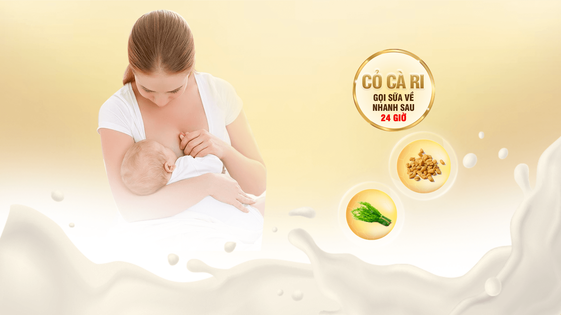 Cỏ cà ri thực phẩm “vàng” gọi nguồn sữa mát cho con yêu phát triển toàn diện - 1