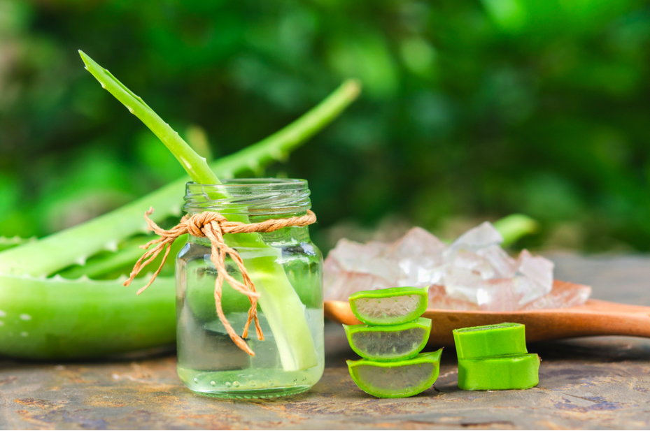 Nha đam giúp cải thiện gàu trên da đầu