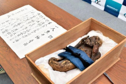 Kết quả xét nghiệm ADN, chụp X quang, chụp CT xác ướp ”nàng tiên cá” Nhật Bản