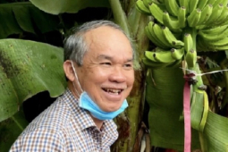 Kinh doanh - Doanh nghiệp bầu Đức thu hơn 14 tỷ đồng mỗi ngày từ bán chuối, nuôi heo