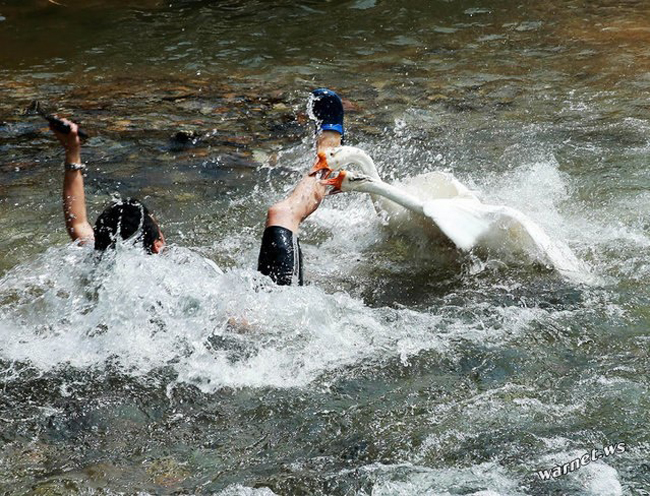 Đi chỗ khác chơi, chỗ người ta riêng tư mà phá đám chi hả?
