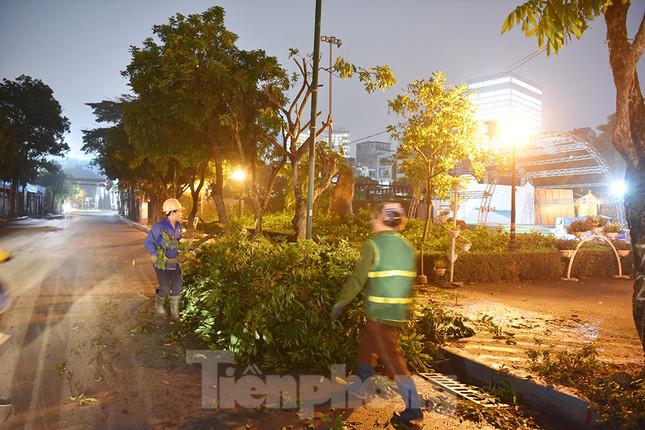 Xuyên đêm di dời hàng cây nhãn 30 năm tuổi trên phố đi bộ Trịnh Công Sơn - 4