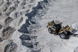 Kinh doanh - Thứ cả thế giới săn lùng, nhiều nơi khát khao, Việt Nam cũng có