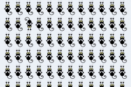 Bạn trẻ - Cuộc sống - Ai giải được những bài quiz này có IQ cực cao