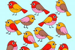 Bạn trẻ - Cuộc sống - "Mắt cú vọ" mới giải được loạt câu đố này