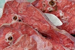 Ẩm thực - Những bộ phận cực độc hại của con bò, giá rẻ như cho cũng không nên mua để ăn